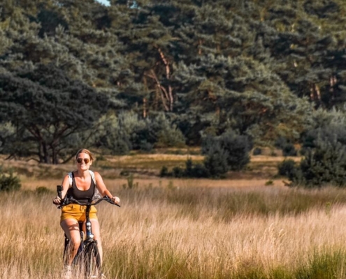 Wat te doen in Apeldoorn en omgeving