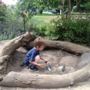 d2bdd7ea2ba313ede99f7ce600a95118